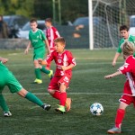 San Luigi C - Kras Repen