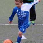 Kras Repen – S. Andrea S. Vito – San Luigi