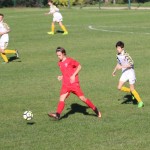 Zarja - Triestina Victory