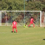 Zarja - Triestina Victory