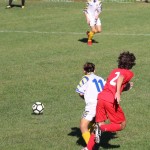 Zarja - Triestina Victory