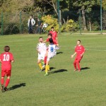 Zarja - Triestina Victory