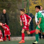 San Luigi C - Kras Repen