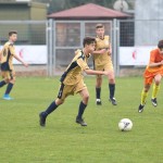 Kras Repen – Manzanese