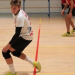 Pokal bazoviške žrtve