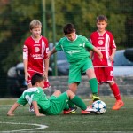 San Luigi C - Kras Repen