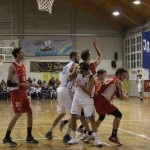 Jadran Ispem - Centro Sedia (Corno di Rosazzo)