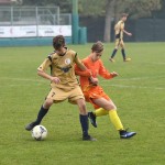 Kras Repen – Manzanese