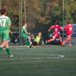 San Luigi C - Kras Repen