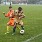 Kras Repen – Manzanese