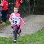 Orienteering 2017