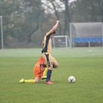 Kras Repen – Manzanese