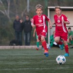 San Luigi C - Kras Repen