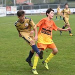 Kras Repen – Manzanese