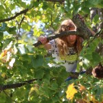 Orienteering 2017