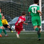 San Luigi C - Kras Repen