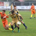 Kras Repen – Manzanese