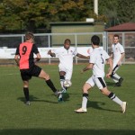 Kras Repen - Manzanese