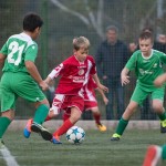 San Luigi C - Kras Repen