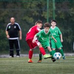 San Luigi C - Kras Repen