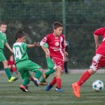 San Luigi C - Kras Repen