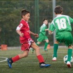 San Luigi C - Kras Repen