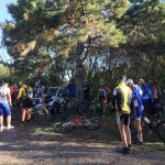 Druženje ob kostanju