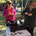 Druženje ob kostanju