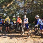 Druženje ob kostanju