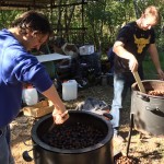 Druženje ob kostanju