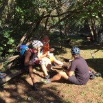 Druženje ob kostanju