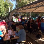 Druženje ob kostanju