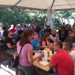 Druženje ob kostanju