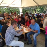 Druženje ob kostanju