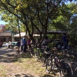 Druženje ob kostanju