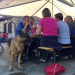 Druženje ob kostanju