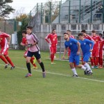 Sistiana/Sesljan - Vesna