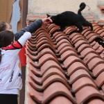 024-orientGaja_Bazovica_DezelniOrientacijskiTek