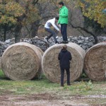 029-orientGaja_Bazovica_DezelniOrientacijskiTek