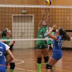 Poggivolley verde - Zalet Breg