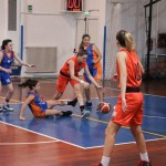 Polet – Sistema Rosa