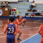 Polet – Sistema Rosa