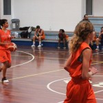 Polet – Sistema Rosa