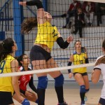 Zalet Barich B - Torriana
