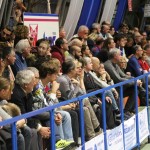 Bor Radenska - Servolana