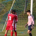 Sistiana/Sesljan - Vesna