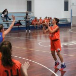 Polet – Sistema Rosa