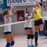 Zalet Barich B - Torriana