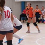 Zalet Barich B - Torriana