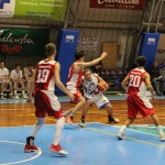 Jadran – Falconstar